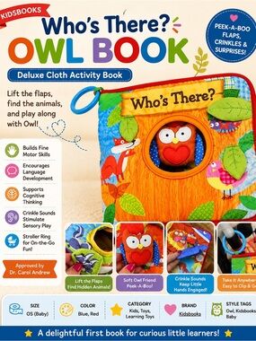 Kidsbooks Who’s there? Owl Book
